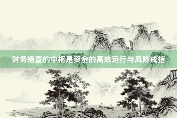 财务措置的中枢是资金的高效运行与风险戒指